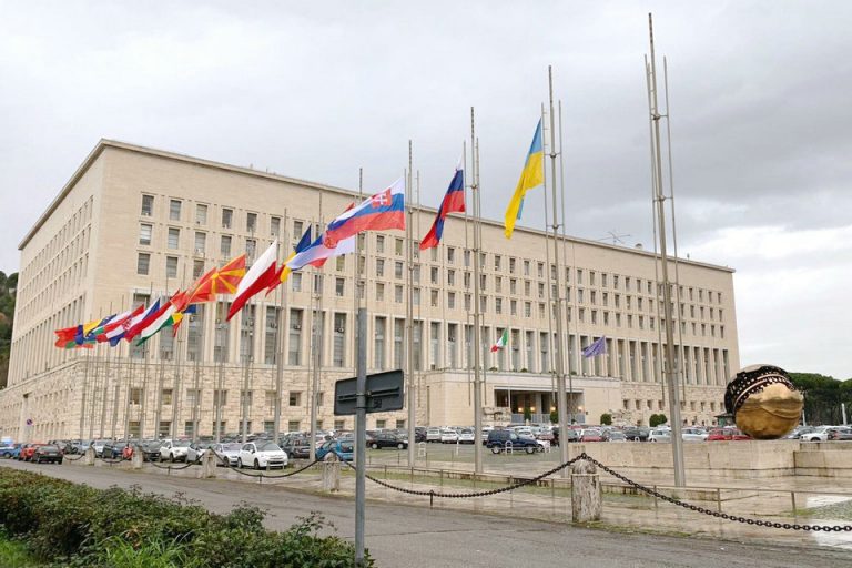 Farnesina